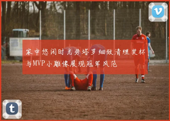 家中悠闲时光劳塔罗细致清理奖杯与MVP小雕像展现冠军风范