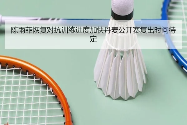 陈雨菲恢复对抗训练进度加快丹麦公开赛复出时间待定